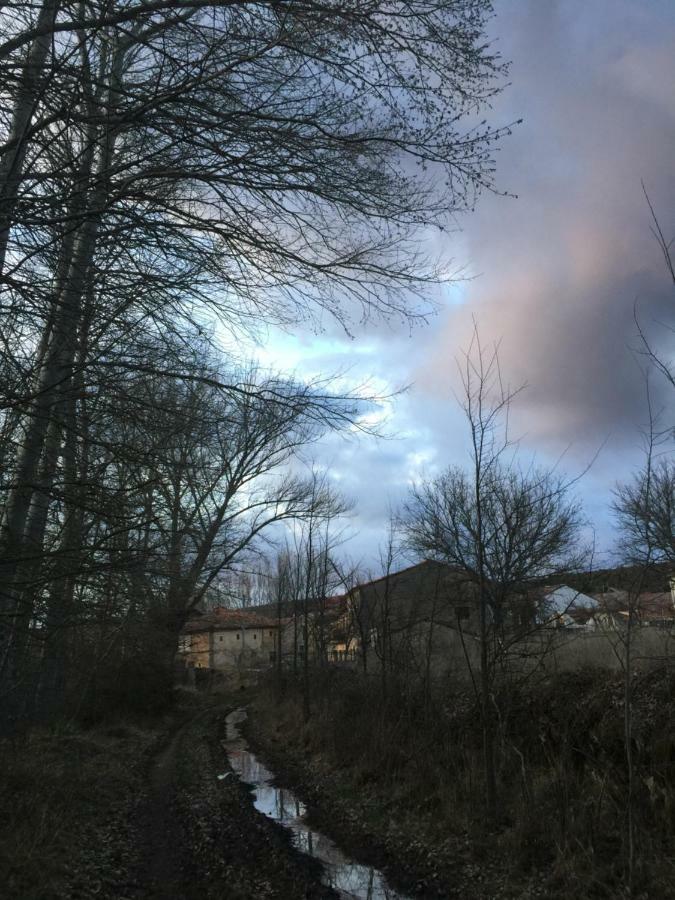 El Jardin De Manuela Βίλα Santibanez del Val Εξωτερικό φωτογραφία