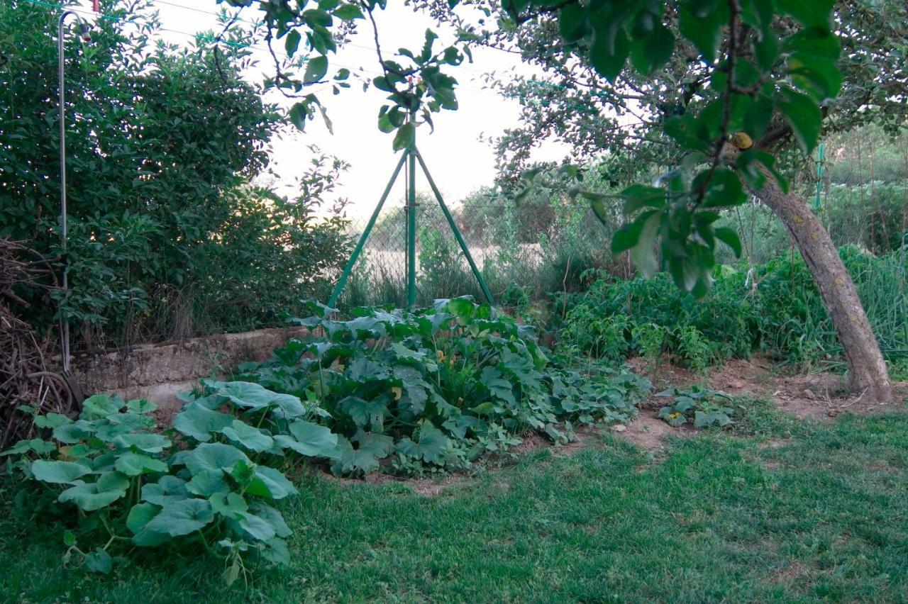 El Jardin De Manuela Βίλα Santibanez del Val Εξωτερικό φωτογραφία