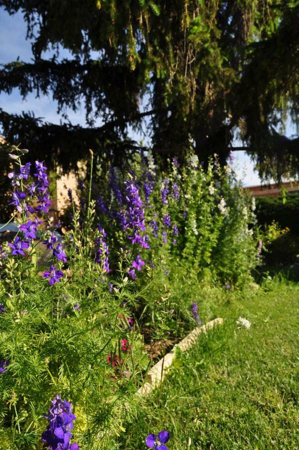 El Jardin De Manuela Βίλα Santibanez del Val Εξωτερικό φωτογραφία